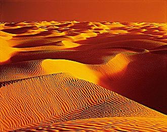 《仙剑奇侠传七》1.1.3更新新增拍照模式、新任务以及新物品