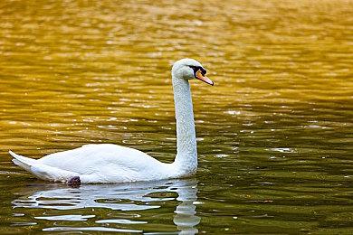 《光环：无限》合作战役模式将在明年5月后推出