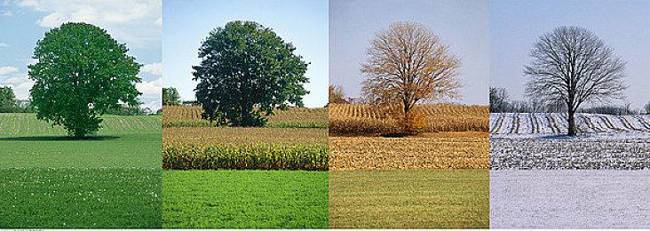 《光环：无限》BTB补丁开发中 2月更新解决作弊问题